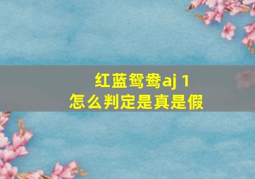 红蓝鸳鸯aj 1怎么判定是真是假